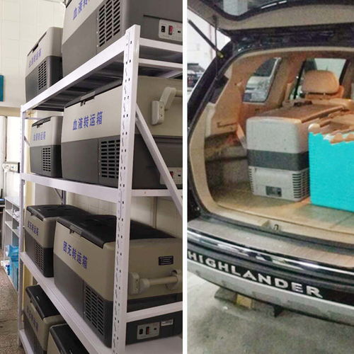 醫療科研專用汽車轉運醫用運輸箱 安全、精準、高效的樣本保障方案