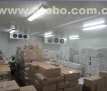 濟南倉儲產品庫 靈動租賃，高效賦能 —— 探秘山東產品庫價格、實景與源頭廠家的專業之道